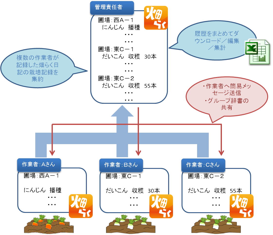 グループオプションの運用イメージ